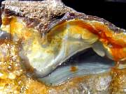 rough_jasper-tahoma1-24_01-06.JPG