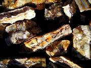 rough_jasper-tahoma1-24_01-07.JPG