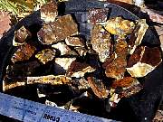 rough_jasper-tahoma1-24_01-09.JPG