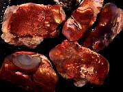 rough_agate-fire1-25_01-05.jpg