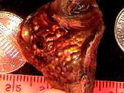 rough_agate-fire1-25_02-01.jpg