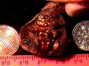 rough_agate-fire1-25_02-02.jpg