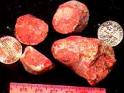 rough_colar-redhorn1-25_01-02.jpg