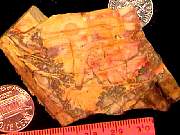 rough_morrisonite1-25_01-04.jpg