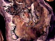 rough_opal-fluorite1-25_01-03.jpg
