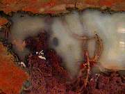 rough_agate-priday2-8_01-05.jpg