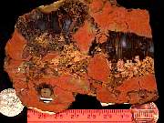 rough_agate-priday2-8_01-07.jpg