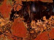 rough_agate-priday2-8_01-08.jpg