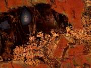 rough_agate-priday2-8_01-09.jpg