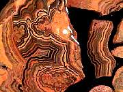 rough_onyx-flower2-8_01-02.jpg