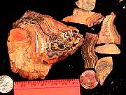 rough_onyx-flower2-8_01-03.jpg