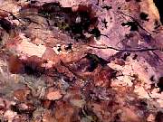 rough_opal-fluorite2-8_01-01.jpg