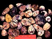rough_opal-fluorite2-8_02-01.jpg