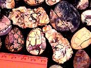 rough_opal-fluorite2-8_02-04.jpg