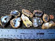DSCN1579.JPG