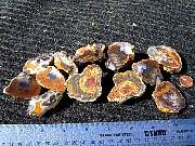 DSCN1581.JPG
