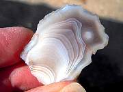 DSCN1589.JPG