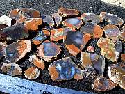 DSCN1599.JPG