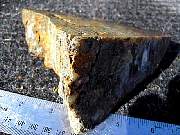 DSCN1619.JPG