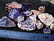 DSCN1625.JPG