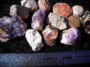 DSCN1631.JPG