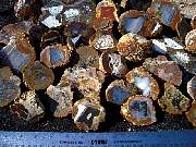 DSCN1644.JPG