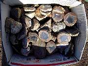 DSCN1680.JPG