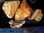 DSCN1682.JPG