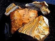 DSCN1683.JPG