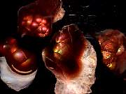 rough_agate-fire3-16_01_02.jpg