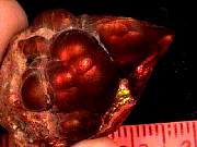 rough_agate-fire3-16_03_01.jpg