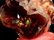 rough_agate-fire3-16_04_01.jpg