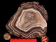 rough_agate-laguna3-16_01_01.jpg