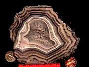 rough_agate-laguna3-16_01_02.jpg