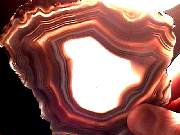 rough_agate-laguna3-16_01_04.jpg