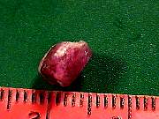 rough_red-beryl3-16_05_04.jpg
