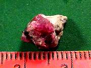 rough_red-beryl3-16_09_01.jpg