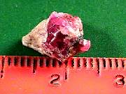 rough_red-beryl3-16_09_03.jpg