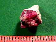 rough_red-beryl3-16_09_04.jpg